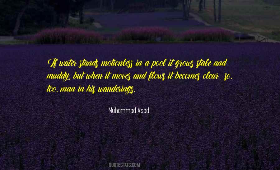 Muhammad Asad Quotes #1746177