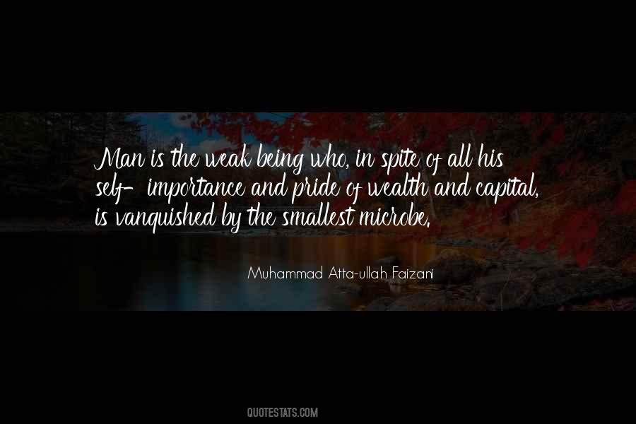 Muhammad Atta-ullah Faizani Quotes #1051993