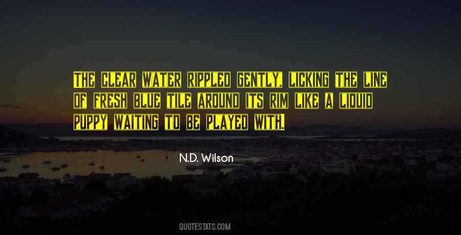N.D. Wilson Quotes #1038132
