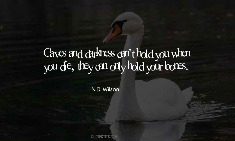 N.D. Wilson Quotes #463063