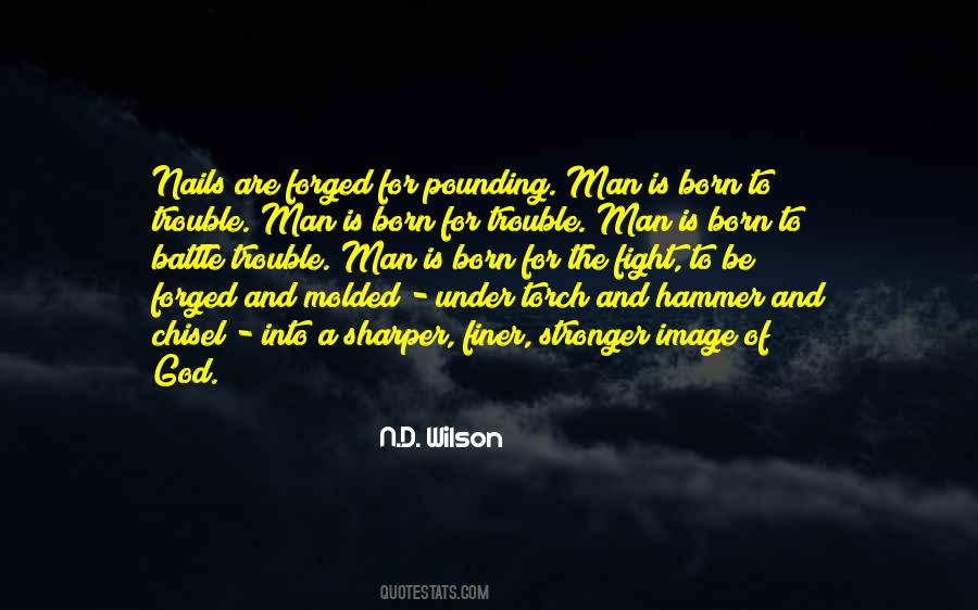 N.D. Wilson Quotes #676400