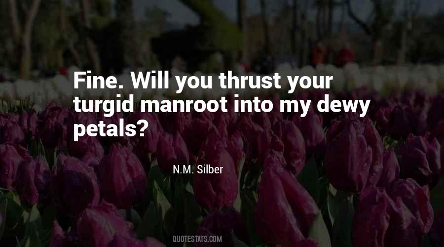 N.M. Silber Quotes #31731