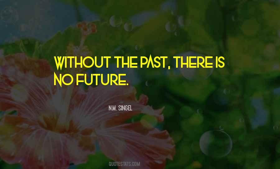 N.M. Singel Quotes #1502217 N.M. Singel Quotes #1502217