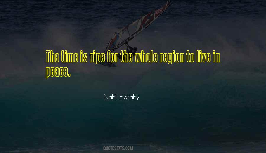 Nabil Elaraby Quotes #1021631