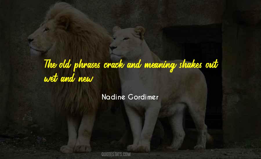 Nadine Gordimer Quotes #1353483