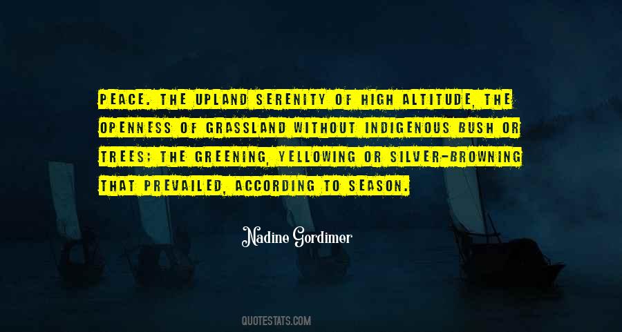 Nadine Gordimer Quotes #1734257