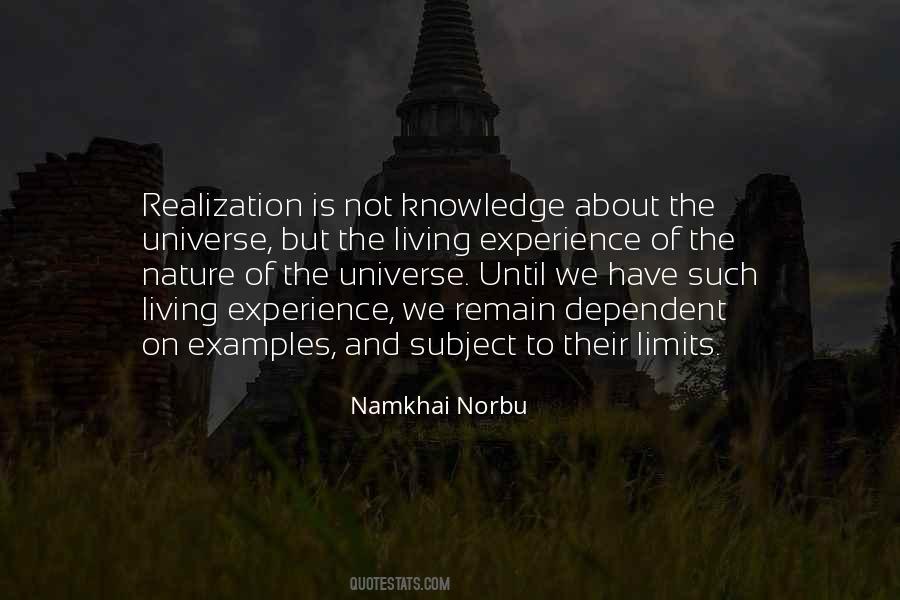 Namkhai Norbu Quotes #1771421