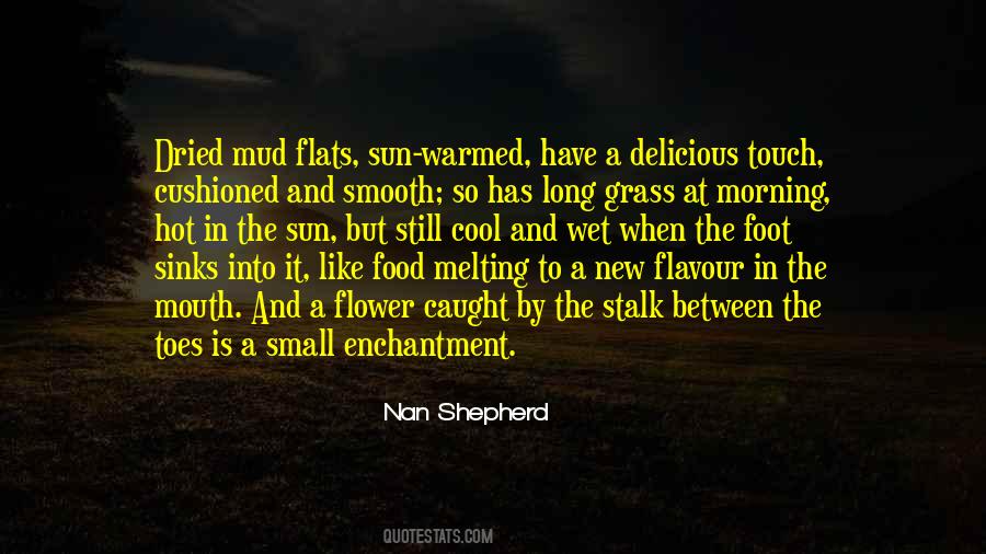 Nan Shepherd Quotes #1773342