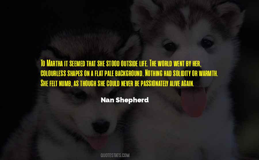 Nan Shepherd Quotes #608774