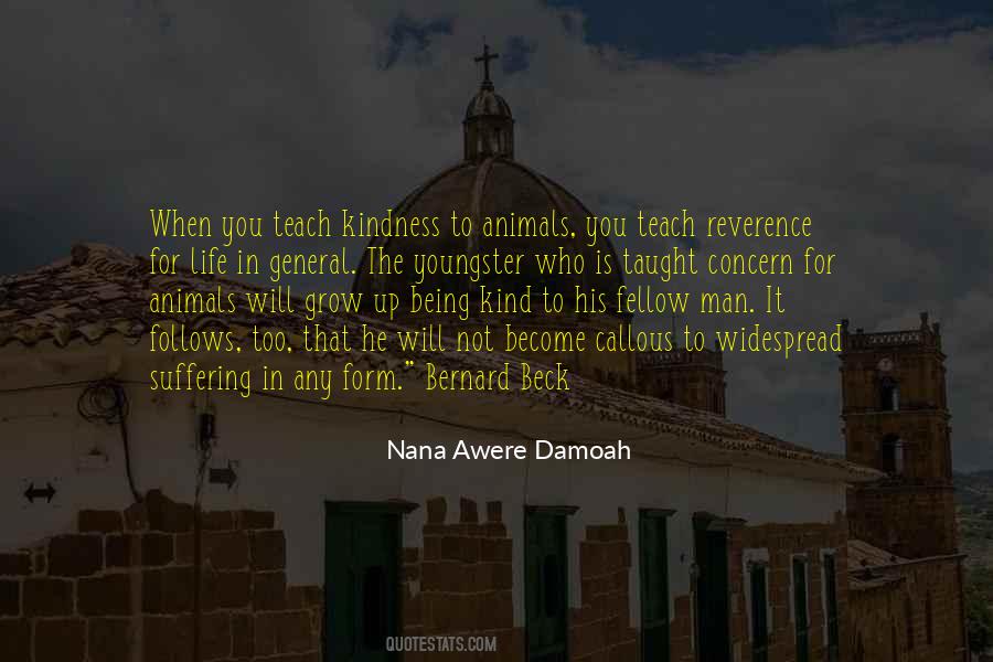 Nana Awere Damoah Quotes #665340