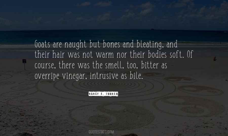 Nancy E. Turner Quotes #149794