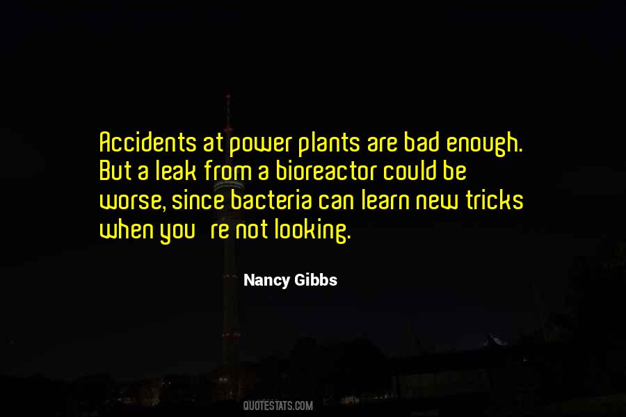 Nancy Gibbs Quotes #955446