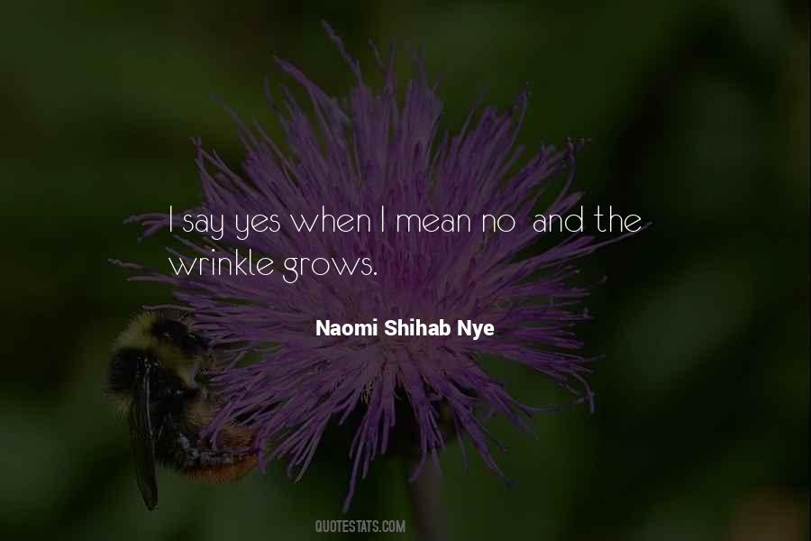 Naomi Shihab Nye Quotes #1617951