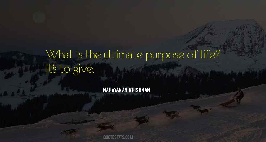 Narayanan Krishnan Quotes #382080