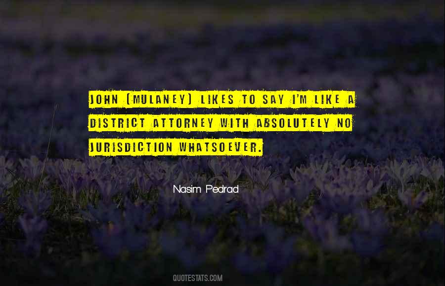 Nasim Pedrad Quotes #1321481