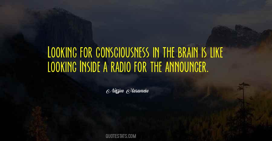 Nassim Haramein Quotes #348479 Nassim Haramein Quotes #348479