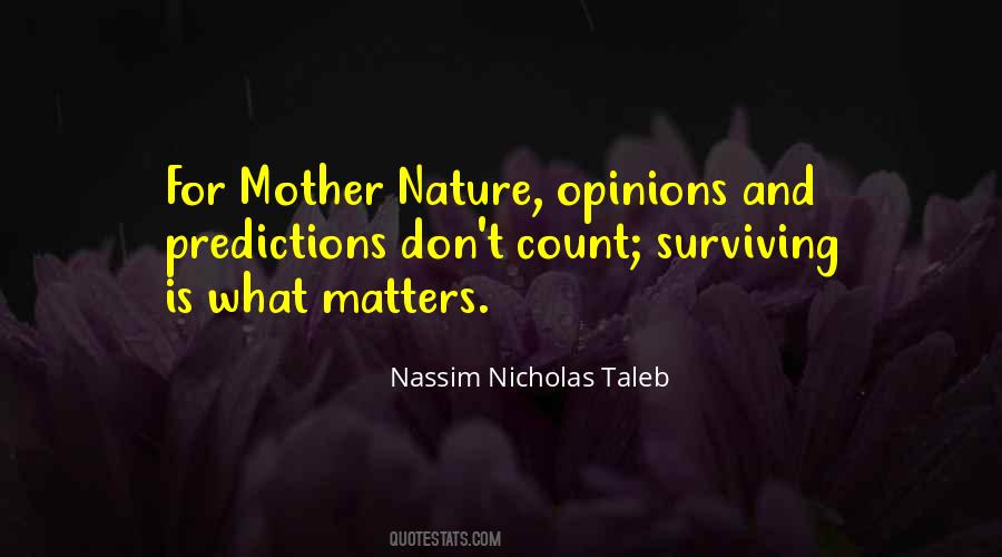 Nassim Nicholas Taleb Quotes #1138164