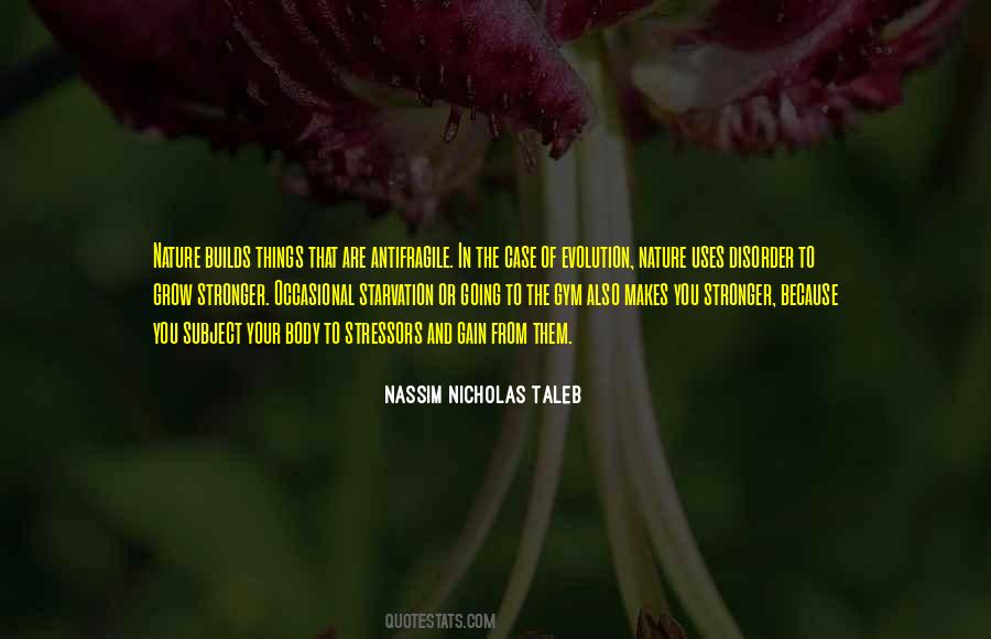 Nassim Nicholas Taleb Quotes #380638
