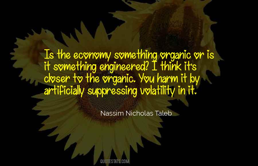 Nassim Nicholas Taleb Quotes #626446
