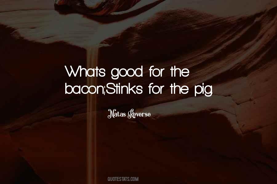 Natas Reverse Quotes #1121808 Natas Reverse Quotes #1121808