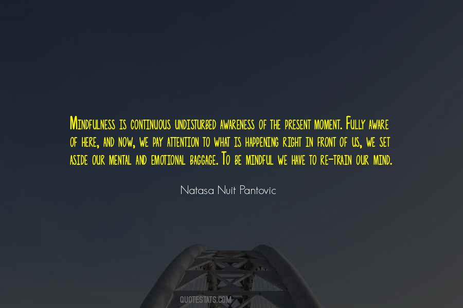 Natasa Nuit Pantovic Quotes #41594