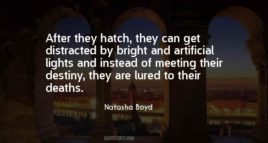 Natasha Boyd Quotes #1558797
