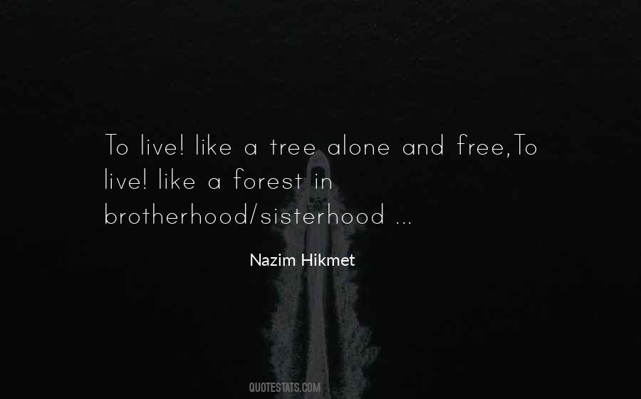 Nazim Hikmet Quotes #175279