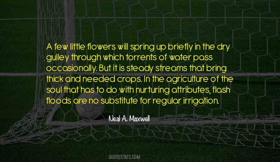 Neal A. Maxwell Quotes #1144940
