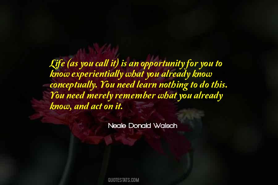 Neale Donald Walsch Quotes #1470887