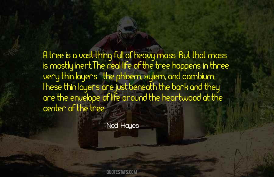 Ned Hayes Quotes #1037673