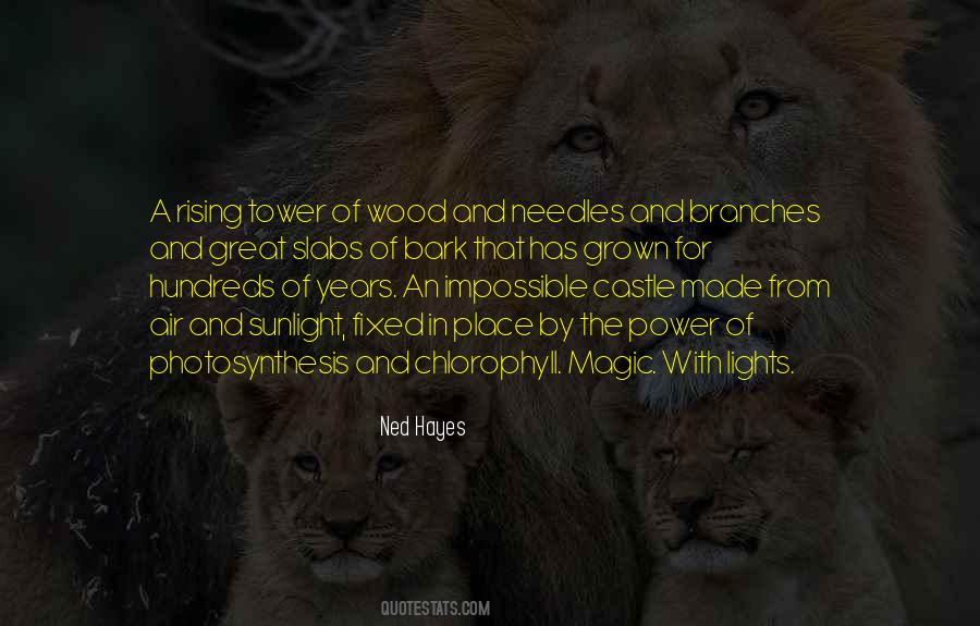 Ned Hayes Quotes #1149869