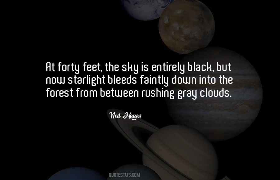 Ned Hayes Quotes #1221684