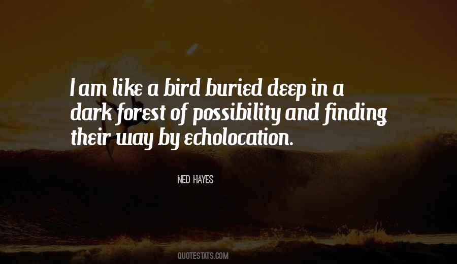 Ned Hayes Quotes #1540442