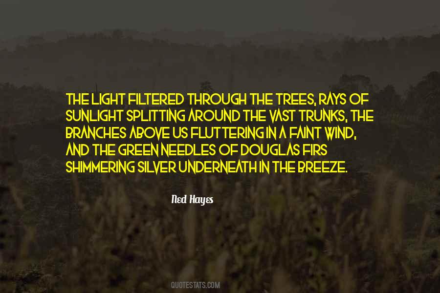 Ned Hayes Quotes #1579527