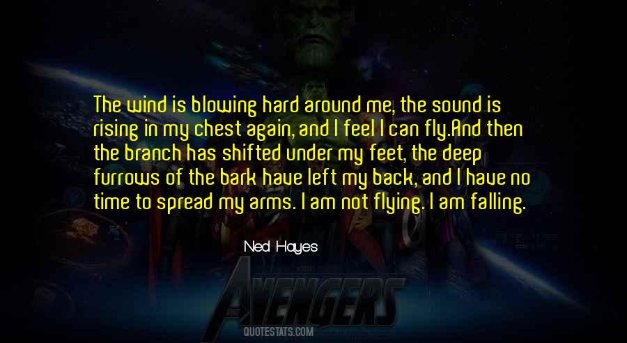 Ned Hayes Quotes #1646179