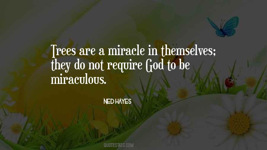 Ned Hayes Quotes #1767458