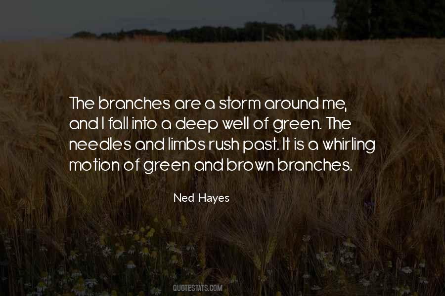 Ned Hayes Quotes #472114