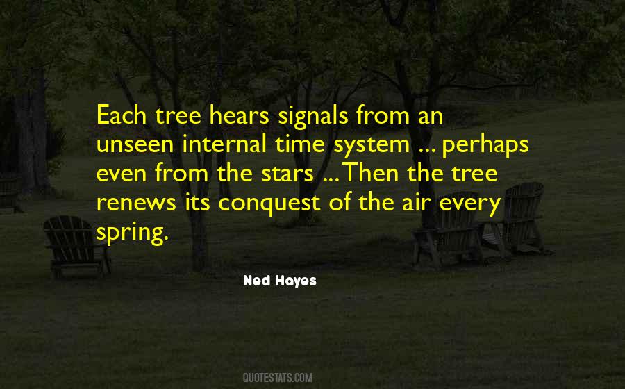 Ned Hayes Quotes #62123