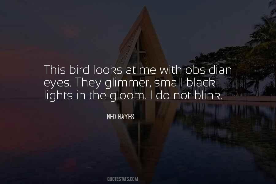 Ned Hayes Quotes #633438