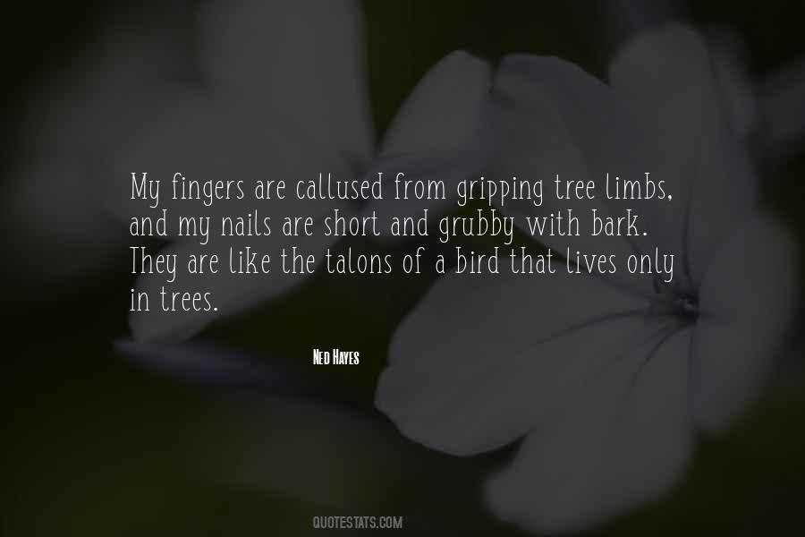 Ned Hayes Quotes #825282