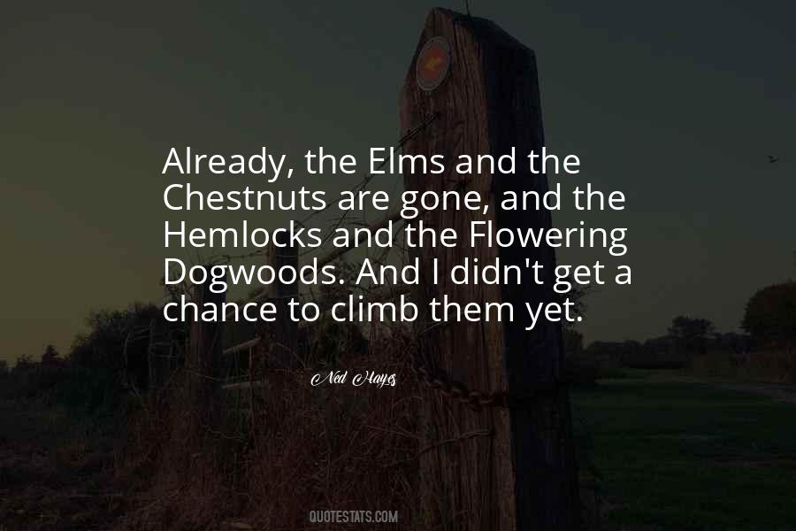 Ned Hayes Quotes #959400