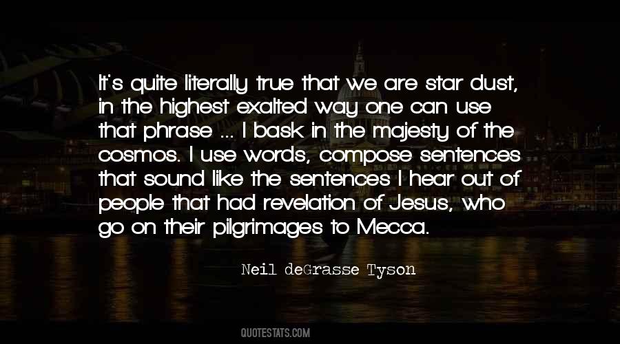 Neil DeGrasse Tyson Quotes #1027023