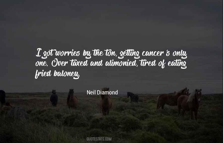 Neil Diamond Quotes #1190297