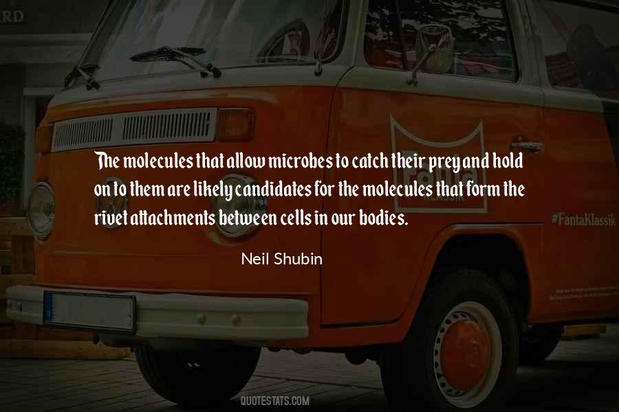 Neil Shubin Quotes #1172065