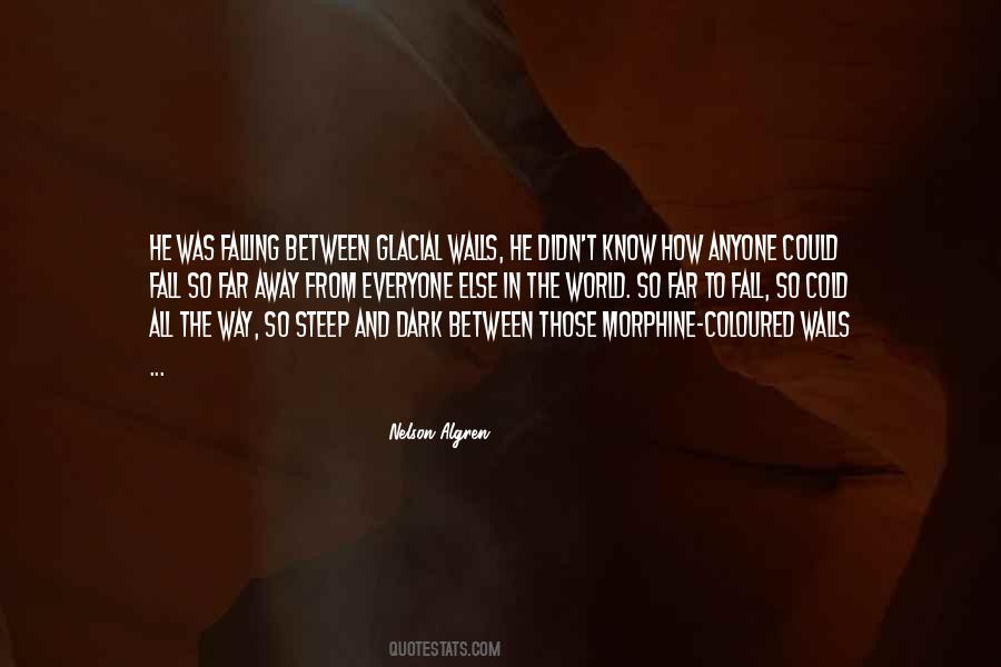 Nelson Algren Quotes #227239