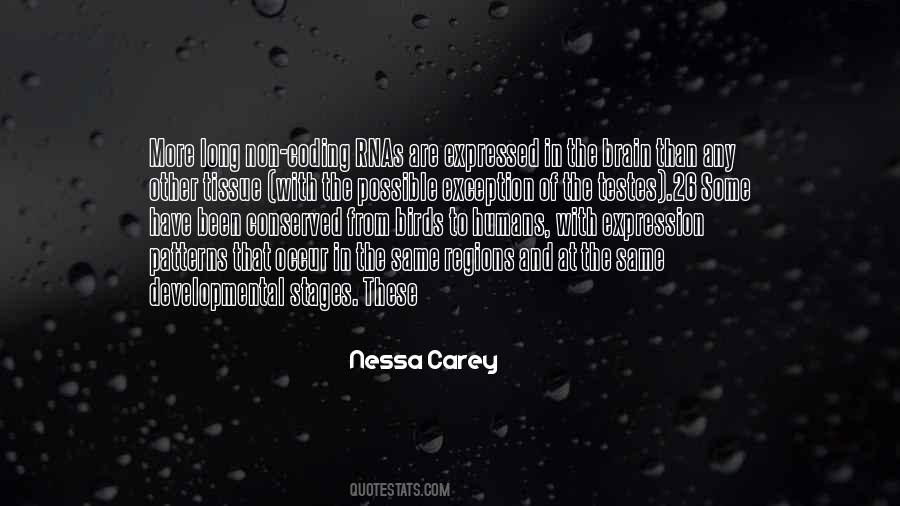 Nessa Carey Quotes #437419