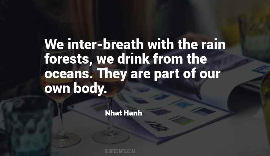 Nhat Hanh Quotes #633724