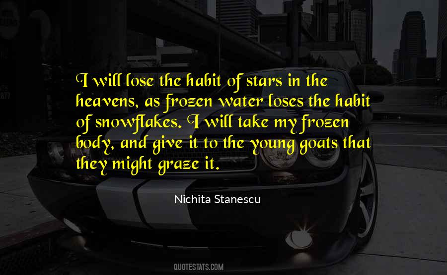 Nichita Stanescu Quotes #270629