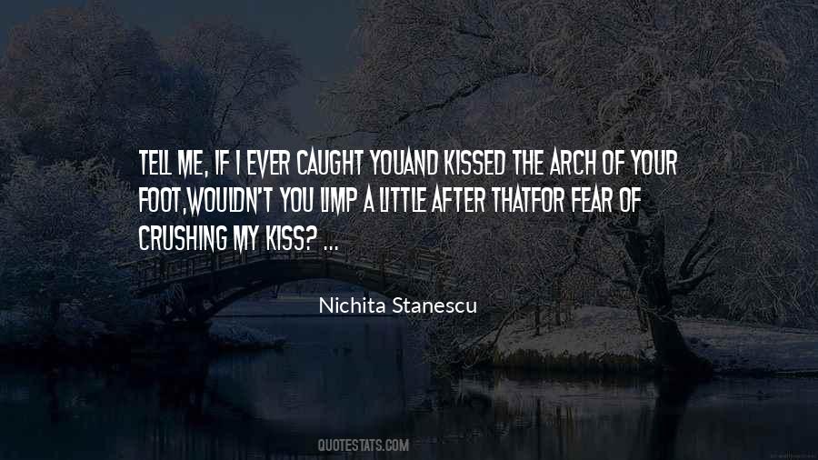 Nichita Stanescu Quotes #643050