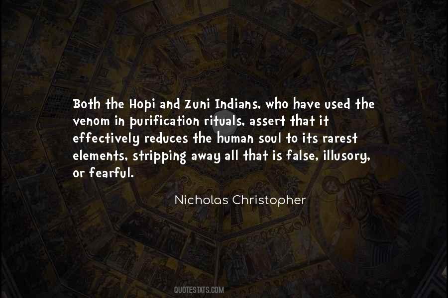 Nicholas Christopher Quotes #842392